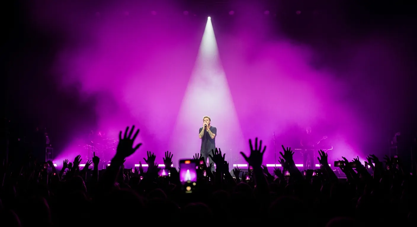 Audience watching a live concert